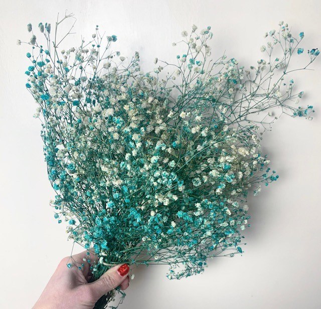 Picture of Preserved Gyp Blue Mix